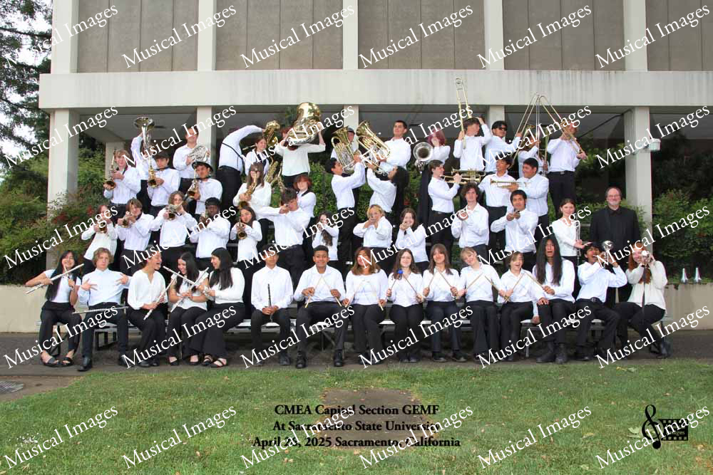 Musical Images